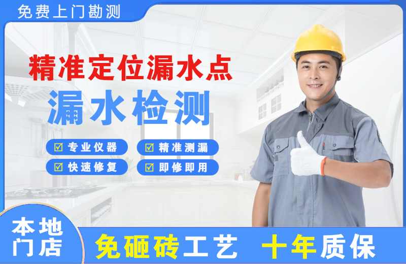 紫云精准测漏点